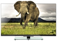 DNS K55D709 tv, DNS K55D709 television, DNS K55D709 price, DNS K55D709 specs, DNS K55D709 reviews, DNS K55D709 specifications, DNS K55D709