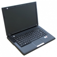 laptop DNS, notebook DNS Home 0124894 (Athlon II P340 2200 Mhz/14