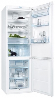 Electrolux ERA 36633 W freezer, Electrolux ERA 36633 W fridge, Electrolux ERA 36633 W refrigerator, Electrolux ERA 36633 W price, Electrolux ERA 36633 W specs, Electrolux ERA 36633 W reviews, Electrolux ERA 36633 W specifications, Electrolux ERA 36633 W