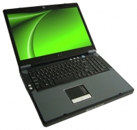 laptop Eurocom, notebook Eurocom D900F Panther Server (Xeon X5690 3460 Mhz/17.1