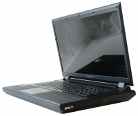 laptop Eurocom, notebook Eurocom Scorpius (Core i7 3840QM 2800 Mhz/17.0