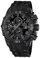 Festina F16602/1 watch, watch Festina F16602/1, Festina F16602/1 price, Festina F16602/1 specs, Festina F16602/1 reviews, Festina F16602/1 specifications, Festina F16602/1