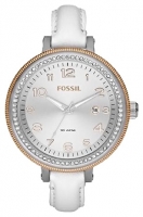 Fossil AM4362 watch, watch Fossil AM4362, Fossil AM4362 price, Fossil AM4362 specs, Fossil AM4362 reviews, Fossil AM4362 specifications, Fossil AM4362