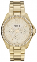 Fossil AM4482 watch, watch Fossil AM4482, Fossil AM4482 price, Fossil AM4482 specs, Fossil AM4482 reviews, Fossil AM4482 specifications, Fossil AM4482