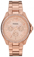 Fossil AM4483 watch, watch Fossil AM4483, Fossil AM4483 price, Fossil AM4483 specs, Fossil AM4483 reviews, Fossil AM4483 specifications, Fossil AM4483