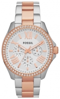 Fossil AM4496 watch, watch Fossil AM4496, Fossil AM4496 price, Fossil AM4496 specs, Fossil AM4496 reviews, Fossil AM4496 specifications, Fossil AM4496