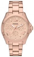 Fossil AM4511 watch, watch Fossil AM4511, Fossil AM4511 price, Fossil AM4511 specs, Fossil AM4511 reviews, Fossil AM4511 specifications, Fossil AM4511