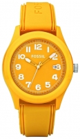 Fossil JR1299 watch, watch Fossil JR1299, Fossil JR1299 price, Fossil JR1299 specs, Fossil JR1299 reviews, Fossil JR1299 specifications, Fossil JR1299
