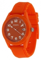 Fossil JR1300 watch, watch Fossil JR1300, Fossil JR1300 price, Fossil JR1300 specs, Fossil JR1300 reviews, Fossil JR1300 specifications, Fossil JR1300