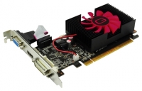 Gainward GeForce GT 620 700Mhz PCI-E 2.0 2048Mb 1070Mhz 64 bit DVI HDMI HDCP photo, Gainward GeForce GT 620 700Mhz PCI-E 2.0 2048Mb 1070Mhz 64 bit DVI HDMI HDCP photos, Gainward GeForce GT 620 700Mhz PCI-E 2.0 2048Mb 1070Mhz 64 bit DVI HDMI HDCP picture, Gainward GeForce GT 620 700Mhz PCI-E 2.0 2048Mb 1070Mhz 64 bit DVI HDMI HDCP pictures, Gainward photos, Gainward pictures, image Gainward, Gainward images