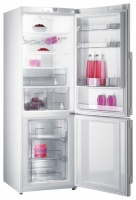 Gorenje NRK 68 SYW freezer, Gorenje NRK 68 SYW fridge, Gorenje NRK 68 SYW refrigerator, Gorenje NRK 68 SYW price, Gorenje NRK 68 SYW specs, Gorenje NRK 68 SYW reviews, Gorenje NRK 68 SYW specifications, Gorenje NRK 68 SYW