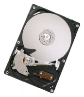 HGST HDP725032GLA360 specifications, HGST HDP725032GLA360, specifications HGST HDP725032GLA360, HGST HDP725032GLA360 specification, HGST HDP725032GLA360 specs, HGST HDP725032GLA360 review, HGST HDP725032GLA360 reviews