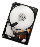 HGST HUA722050CLA331 specifications, HGST HUA722050CLA331, specifications HGST HUA722050CLA331, HGST HUA722050CLA331 specification, HGST HUA722050CLA331 specs, HGST HUA722050CLA331 review, HGST HUA722050CLA331 reviews