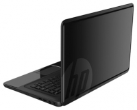 HP 2000-2d01ER (E1 1500 1480 Mhz/15.6"/1366x768/4Gb/500Gb/DVDRW/wifi/Bluetooth/Win 8 64) photo, HP 2000-2d01ER (E1 1500 1480 Mhz/15.6"/1366x768/4Gb/500Gb/DVDRW/wifi/Bluetooth/Win 8 64) photos, HP 2000-2d01ER (E1 1500 1480 Mhz/15.6"/1366x768/4Gb/500Gb/DVDRW/wifi/Bluetooth/Win 8 64) picture, HP 2000-2d01ER (E1 1500 1480 Mhz/15.6"/1366x768/4Gb/500Gb/DVDRW/wifi/Bluetooth/Win 8 64) pictures, HP photos, HP pictures, image HP, HP images