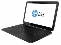 HP 255 G2 (F0Z63EA) (A4 5000 1500 Mhz/15.6"/1366x768/4.0Gb/500Gb/DVDRW/wifi/Bluetooth/Win 8 Pro 64) photo, HP 255 G2 (F0Z63EA) (A4 5000 1500 Mhz/15.6"/1366x768/4.0Gb/500Gb/DVDRW/wifi/Bluetooth/Win 8 Pro 64) photos, HP 255 G2 (F0Z63EA) (A4 5000 1500 Mhz/15.6"/1366x768/4.0Gb/500Gb/DVDRW/wifi/Bluetooth/Win 8 Pro 64) picture, HP 255 G2 (F0Z63EA) (A4 5000 1500 Mhz/15.6"/1366x768/4.0Gb/500Gb/DVDRW/wifi/Bluetooth/Win 8 Pro 64) pictures, HP photos, HP pictures, image HP, HP images