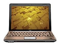 laptop HP, notebook HP PAVILION dv3610er (Core 2 Duo P7450 2000 Mhz/13.3