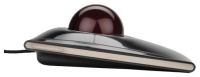 Kensington Slimblade Trackball K72327EU Black USB photo, Kensington Slimblade Trackball K72327EU Black USB photos, Kensington Slimblade Trackball K72327EU Black USB picture, Kensington Slimblade Trackball K72327EU Black USB pictures, Kensington photos, Kensington pictures, image Kensington, Kensington images