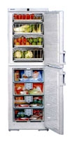 Liebherr BGNDes 2986 freezer, Liebherr BGNDes 2986 fridge, Liebherr BGNDes 2986 refrigerator, Liebherr BGNDes 2986 price, Liebherr BGNDes 2986 specs, Liebherr BGNDes 2986 reviews, Liebherr BGNDes 2986 specifications, Liebherr BGNDes 2986