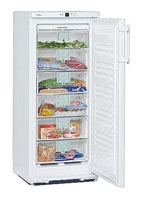 Liebherr GN 2153 freezer, Liebherr GN 2153 fridge, Liebherr GN 2153 refrigerator, Liebherr GN 2153 price, Liebherr GN 2153 specs, Liebherr GN 2153 reviews, Liebherr GN 2153 specifications, Liebherr GN 2153