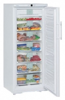 Liebherr GNP 2976 freezer, Liebherr GNP 2976 fridge, Liebherr GNP 2976 refrigerator, Liebherr GNP 2976 price, Liebherr GNP 2976 specs, Liebherr GNP 2976 reviews, Liebherr GNP 2976 specifications, Liebherr GNP 2976