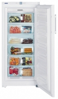 Liebherr GNP 3166 freezer, Liebherr GNP 3166 fridge, Liebherr GNP 3166 refrigerator, Liebherr GNP 3166 price, Liebherr GNP 3166 specs, Liebherr GNP 3166 reviews, Liebherr GNP 3166 specifications, Liebherr GNP 3166