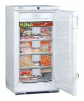 Liebherr GSN 2026 freezer, Liebherr GSN 2026 fridge, Liebherr GSN 2026 refrigerator, Liebherr GSN 2026 price, Liebherr GSN 2026 specs, Liebherr GSN 2026 reviews, Liebherr GSN 2026 specifications, Liebherr GSN 2026