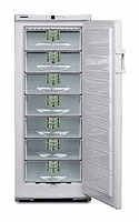 Liebherr GSP 3126 freezer, Liebherr GSP 3126 fridge, Liebherr GSP 3126 refrigerator, Liebherr GSP 3126 price, Liebherr GSP 3126 specs, Liebherr GSP 3126 reviews, Liebherr GSP 3126 specifications, Liebherr GSP 3126