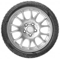 Matador MP 92 Sibir Snow Suv M+S 205/70 R15 96H photo, Matador MP 92 Sibir Snow Suv M+S 205/70 R15 96H photos, Matador MP 92 Sibir Snow Suv M+S 205/70 R15 96H picture, Matador MP 92 Sibir Snow Suv M+S 205/70 R15 96H pictures, Matador photos, Matador pictures, image Matador, Matador images