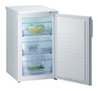 Mora MF W 3101 freezer, Mora MF W 3101 fridge, Mora MF W 3101 refrigerator, Mora MF W 3101 price, Mora MF W 3101 specs, Mora MF W 3101 reviews, Mora MF W 3101 specifications, Mora MF W 3101