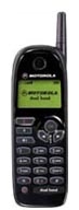 Motorola M3288 mobile phone, Motorola M3288 cell phone, Motorola M3288 phone, Motorola M3288 specs, Motorola M3288 reviews, Motorola M3288 specifications, Motorola M3288