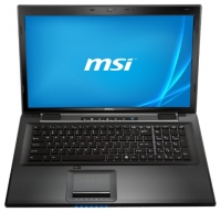 laptop MSI, notebook MSI CX70 2OD (Core i7 4702MQ 2200 Mhz/17.3