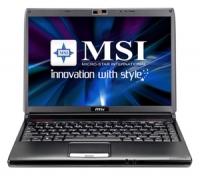 laptop MSI, notebook MSI EX310 (Turion X2 Ultra ZM-80 2100 Mhz/13.3