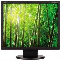 monitor NEC, monitor NEC AccuSync AS191, NEC monitor, NEC AccuSync AS191 monitor, pc monitor NEC, NEC pc monitor, pc monitor NEC AccuSync AS191, NEC AccuSync AS191 specifications, NEC AccuSync AS191