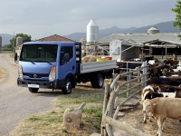 Nissan Cabstar Single Cab Board 2-door (3 generation) 3.0 D MT MWB (150 HP) COMFORT (I-Q1-) (2013) photo, Nissan Cabstar Single Cab Board 2-door (3 generation) 3.0 D MT MWB (150 HP) COMFORT (I-Q1-) (2013) photos, Nissan Cabstar Single Cab Board 2-door (3 generation) 3.0 D MT MWB (150 HP) COMFORT (I-Q1-) (2013) picture, Nissan Cabstar Single Cab Board 2-door (3 generation) 3.0 D MT MWB (150 HP) COMFORT (I-Q1-) (2013) pictures, Nissan photos, Nissan pictures, image Nissan, Nissan images