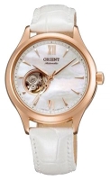 ORIENT DB0A002W watch, watch ORIENT DB0A002W, ORIENT DB0A002W price, ORIENT DB0A002W specs, ORIENT DB0A002W reviews, ORIENT DB0A002W specifications, ORIENT DB0A002W