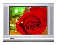 Philips 29PT5618 tv, Philips 29PT5618 television, Philips 29PT5618 price, Philips 29PT5618 specs, Philips 29PT5618 reviews, Philips 29PT5618 specifications, Philips 29PT5618