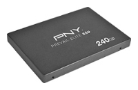 PNY SSD9SC240GEDA-PB specifications, PNY SSD9SC240GEDA-PB, specifications PNY SSD9SC240GEDA-PB, PNY SSD9SC240GEDA-PB specification, PNY SSD9SC240GEDA-PB specs, PNY SSD9SC240GEDA-PB review, PNY SSD9SC240GEDA-PB reviews