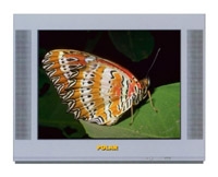 Polar 54CTV3060 tv, Polar 54CTV3060 television, Polar 54CTV3060 price, Polar 54CTV3060 specs, Polar 54CTV3060 reviews, Polar 54CTV3060 specifications, Polar 54CTV3060