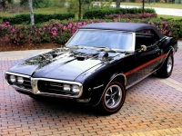 car Pontiac, car Pontiac Firebird Convertible (1 generation) AT 5.7 (320hp), Pontiac car, Pontiac Firebird Convertible (1 generation) AT 5.7 (320hp) car, cars Pontiac, Pontiac cars, cars Pontiac Firebird Convertible (1 generation) AT 5.7 (320hp), Pontiac Firebird Convertible (1 generation) AT 5.7 (320hp) specifications, Pontiac Firebird Convertible (1 generation) AT 5.7 (320hp), Pontiac Firebird Convertible (1 generation) AT 5.7 (320hp) cars, Pontiac Firebird Convertible (1 generation) AT 5.7 (320hp) specification