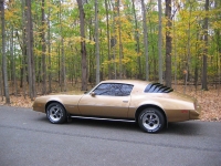 Pontiac Firebird Esprit coupe 2-door (2 generation) AT 3.8 (117hp) photo, Pontiac Firebird Esprit coupe 2-door (2 generation) AT 3.8 (117hp) photos, Pontiac Firebird Esprit coupe 2-door (2 generation) AT 3.8 (117hp) picture, Pontiac Firebird Esprit coupe 2-door (2 generation) AT 3.8 (117hp) pictures, Pontiac photos, Pontiac pictures, image Pontiac, Pontiac images