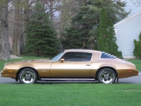 Pontiac Firebird Esprit coupe 2-door (2 generation) AT 3.8 (117hp) photo, Pontiac Firebird Esprit coupe 2-door (2 generation) AT 3.8 (117hp) photos, Pontiac Firebird Esprit coupe 2-door (2 generation) AT 3.8 (117hp) picture, Pontiac Firebird Esprit coupe 2-door (2 generation) AT 3.8 (117hp) pictures, Pontiac photos, Pontiac pictures, image Pontiac, Pontiac images