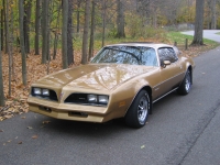 Pontiac Firebird Esprit coupe 2-door (2 generation) AT 3.8 (117hp) photo, Pontiac Firebird Esprit coupe 2-door (2 generation) AT 3.8 (117hp) photos, Pontiac Firebird Esprit coupe 2-door (2 generation) AT 3.8 (117hp) picture, Pontiac Firebird Esprit coupe 2-door (2 generation) AT 3.8 (117hp) pictures, Pontiac photos, Pontiac pictures, image Pontiac, Pontiac images