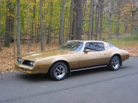 Pontiac Firebird Esprit coupe 2-door (2 generation) AT 3.8 (117hp) photo, Pontiac Firebird Esprit coupe 2-door (2 generation) AT 3.8 (117hp) photos, Pontiac Firebird Esprit coupe 2-door (2 generation) AT 3.8 (117hp) picture, Pontiac Firebird Esprit coupe 2-door (2 generation) AT 3.8 (117hp) pictures, Pontiac photos, Pontiac pictures, image Pontiac, Pontiac images