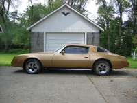 Pontiac Firebird Esprit coupe 2-door (2 generation) AT 3.8 (117hp) photo, Pontiac Firebird Esprit coupe 2-door (2 generation) AT 3.8 (117hp) photos, Pontiac Firebird Esprit coupe 2-door (2 generation) AT 3.8 (117hp) picture, Pontiac Firebird Esprit coupe 2-door (2 generation) AT 3.8 (117hp) pictures, Pontiac photos, Pontiac pictures, image Pontiac, Pontiac images