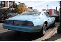 Pontiac Firebird Esprit Skybird coupe 2-door (2 generation) 3.8 MT (117hp) photo, Pontiac Firebird Esprit Skybird coupe 2-door (2 generation) 3.8 MT (117hp) photos, Pontiac Firebird Esprit Skybird coupe 2-door (2 generation) 3.8 MT (117hp) picture, Pontiac Firebird Esprit Skybird coupe 2-door (2 generation) 3.8 MT (117hp) pictures, Pontiac photos, Pontiac pictures, image Pontiac, Pontiac images