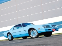 Pontiac Firebird Esprit Skybird coupe 2-door (2 generation) 3.8 MT (117hp) photo, Pontiac Firebird Esprit Skybird coupe 2-door (2 generation) 3.8 MT (117hp) photos, Pontiac Firebird Esprit Skybird coupe 2-door (2 generation) 3.8 MT (117hp) picture, Pontiac Firebird Esprit Skybird coupe 2-door (2 generation) 3.8 MT (117hp) pictures, Pontiac photos, Pontiac pictures, image Pontiac, Pontiac images