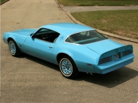 Pontiac Firebird Esprit Skybird coupe 2-door (2 generation) AT 3.8 (117hp) photo, Pontiac Firebird Esprit Skybird coupe 2-door (2 generation) AT 3.8 (117hp) photos, Pontiac Firebird Esprit Skybird coupe 2-door (2 generation) AT 3.8 (117hp) picture, Pontiac Firebird Esprit Skybird coupe 2-door (2 generation) AT 3.8 (117hp) pictures, Pontiac photos, Pontiac pictures, image Pontiac, Pontiac images