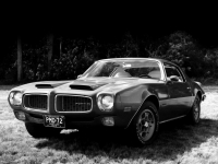 Pontiac Firebird Formula coupe 2-door (2 generation) 5.7 Hydra-Matic (175hp '72) photo, Pontiac Firebird Formula coupe 2-door (2 generation) 5.7 Hydra-Matic (175hp '72) photos, Pontiac Firebird Formula coupe 2-door (2 generation) 5.7 Hydra-Matic (175hp '72) picture, Pontiac Firebird Formula coupe 2-door (2 generation) 5.7 Hydra-Matic (175hp '72) pictures, Pontiac photos, Pontiac pictures, image Pontiac, Pontiac images