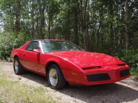 Pontiac Firebird T-Roof Targa 2-door (3 generation) 2.5 4MT (91hp) photo, Pontiac Firebird T-Roof Targa 2-door (3 generation) 2.5 4MT (91hp) photos, Pontiac Firebird T-Roof Targa 2-door (3 generation) 2.5 4MT (91hp) picture, Pontiac Firebird T-Roof Targa 2-door (3 generation) 2.5 4MT (91hp) pictures, Pontiac photos, Pontiac pictures, image Pontiac, Pontiac images