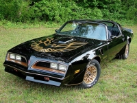 Pontiac Firebird Trans Am Black Special Edition T-Roof Targa 2-door (2 generation) 6.6 MT (188 HP) photo, Pontiac Firebird Trans Am Black Special Edition T-Roof Targa 2-door (2 generation) 6.6 MT (188 HP) photos, Pontiac Firebird Trans Am Black Special Edition T-Roof Targa 2-door (2 generation) 6.6 MT (188 HP) picture, Pontiac Firebird Trans Am Black Special Edition T-Roof Targa 2-door (2 generation) 6.6 MT (188 HP) pictures, Pontiac photos, Pontiac pictures, image Pontiac, Pontiac images